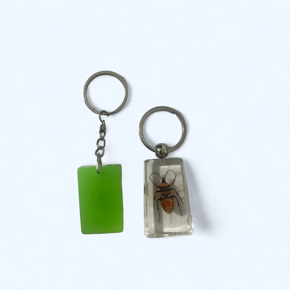 BUG KEYCHAINS SCORPION AND‎ BEETLE PD1-89